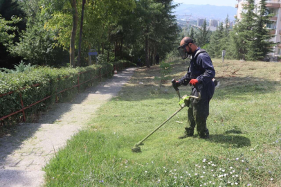 Kocaeli İzmit'te tırpan mesaisi