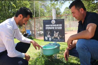 Sivas'ta sokak hayvanlarına otomatik sulama