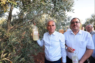 Zeytin üreticilerine biyoteknik destek