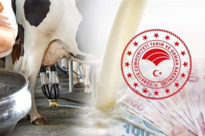 Bakan Kirişci duyurdu... 833,6 milyon TL bugün hesaplarda