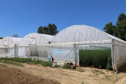 Kocaeli'de modern seralar verimi arttırdı