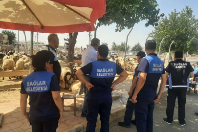 Diyarbakır Bağlar'da kaçak hayvan pazarına yıkım!