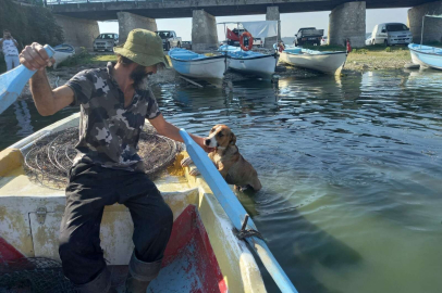 Gölyazılı Robin Hood