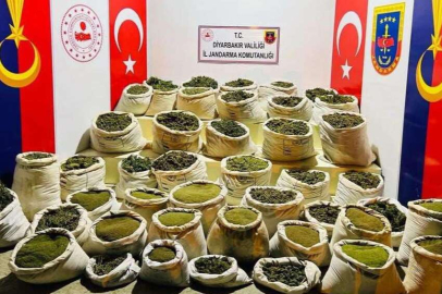 Diyarbakır'daki 'Abluka'nın ilk gününde 224 noktaya baskın