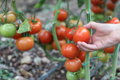 ‘Çevre Dostu Çiftçi Kart Projesi’ başladı