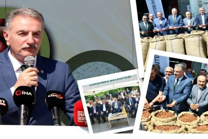 İlk kabuklu fındıklar Samsun'dan alındı... Fındığın randımanı 54 kg