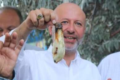 Ahmet Çolakbayrakdar'dan 'Yamula Patlıcanı' çağrısı