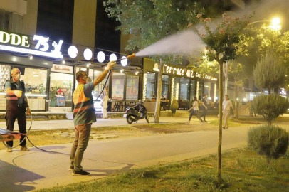 Diyarbakır'da 'yeşil' için gece mesaisi
