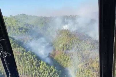 Antalya Alanya'da orman yangınına müdahale sürüyor