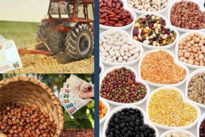 Çiftçilere nefes aldıran ödeme