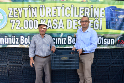 Manisa Gölmarmaralı üreticiler de zeytin kasalarına kavuştu