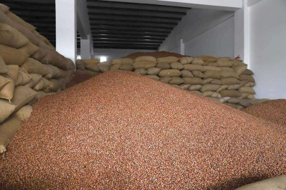 FINVER projesi meyvesini verdi