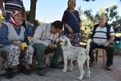 Muğla Milas'ta kentsel-kırsal ayrımı yok
