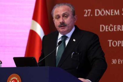 TBMM'de soru önergesi sayısı 73 bini, dokunulmazlık dosyası ise bin 600'ü aştı