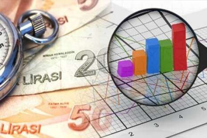 Genel devlet açığının gayrisafiye oranı yüzde 1,1