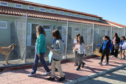 Muğla'da 'geçici hayvan bakımevi' ziyaretçilerini ağırlıyor