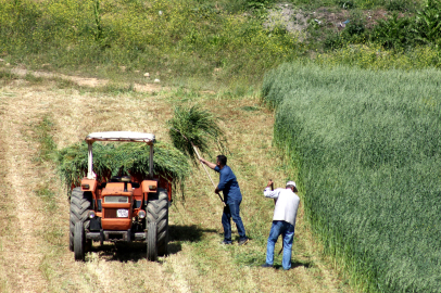 Bursa Yenişehir'de çiftçilere 'ÇKS' uyarısı