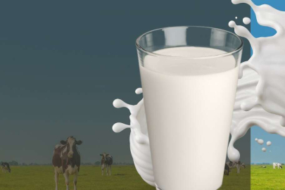 Çiğ süt zammına 'destek primi' katkısı