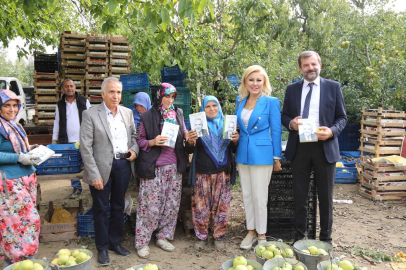 Bursa Gürsu'da gazeteciler kadınlarla birlikte armut topladılar