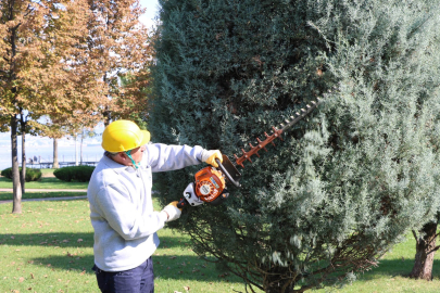 Kocaeli'den ağaçlara estetik dokunuş
