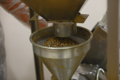 Sakarya 'şifa' üretiyor