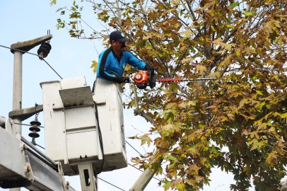 Sakarya'da şehire sonbahar dokunuşu