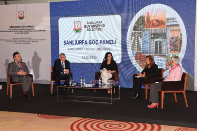 Şanlıurfa'da göç Ankara’da masaya yatırıldı