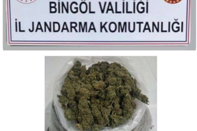 Bingöl'de 1,18 kilogram esrar ele geçirildi