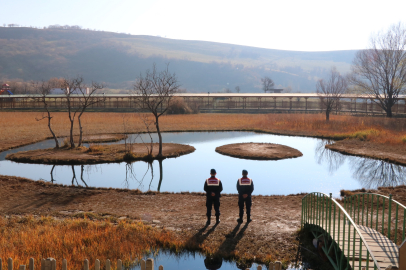 Bingöl Jandarması, 'Yüzen Adalar'da denetimlerde bulundu