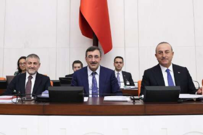 Hazine ve Maliye ile Dışişleri'nin 2023 bütçeleri onaylandı