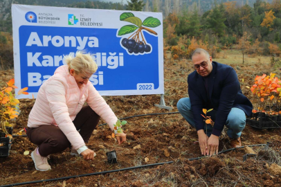 İzmit’in aronyaları Antalya’daki kardeşlik bahçesinde buluştu