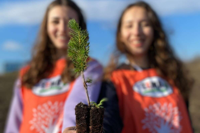 TEMA Vakfı'ndan fidan bağışı çağrısı