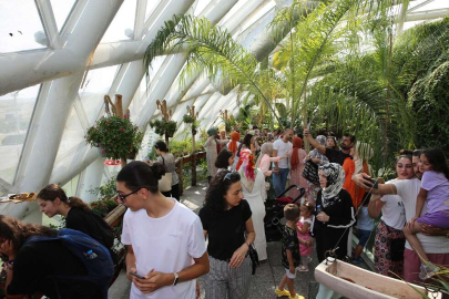 Konya'da 'tropikal' ziyaret 600 bine ulaştı