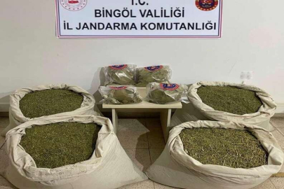 Bingöl’de 145 kilogram esrar ele geçirildi