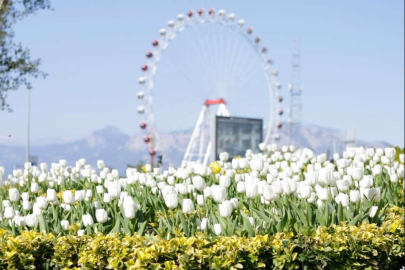 Üreterek 4 yılda toplam 61 milyon liralık tasarruf