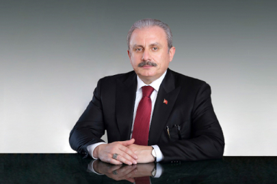 TBMM Başkanı Şentop, Özbekistanlı mevkidaşıyla görüştü