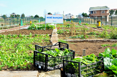 Beylikdüzü'nün hobi bahçelerinde yeni kura heyecanı