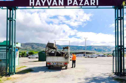Şap, bir ilde daha hayvan pazarını kapattı