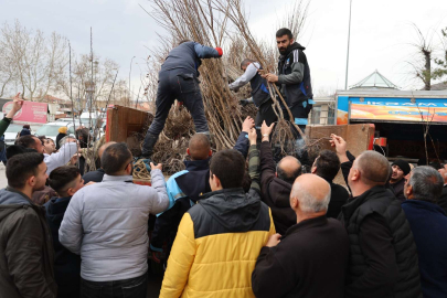 Kayseri Hacılar'dan üreticiye fidan