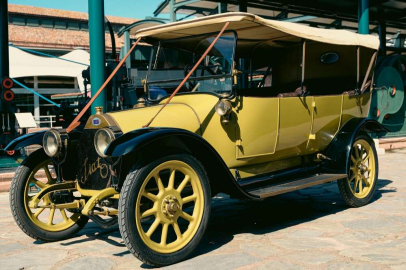 İtalya'daki son örneği Türkiye'ye getirildi!