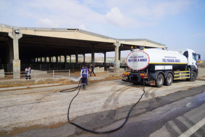 Şap hastalığına karşı Diyarbakır'da dezenfekte