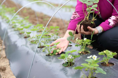 İzmit'in Çilek Köyü eğitime katkı sunacak