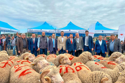 Tescilli Balıkesir Kuzusu'na destek