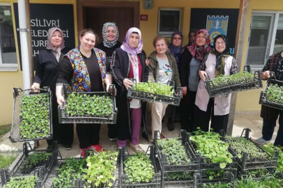 Silivri'de kursiyer kadınlara 80 bin fide