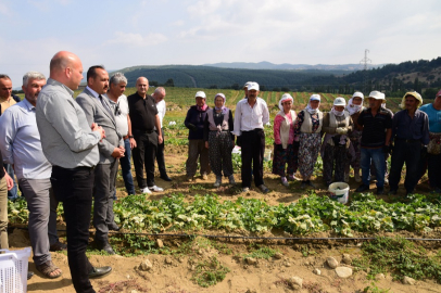 Tarım işçisinin koruyucu ekipmanları Manisa'dan