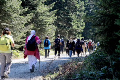 Sakarya'da doğa tutkunlarına özel deneyim
