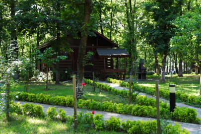 Sakarya'nın oksijen deposuna ziyaretçi akını