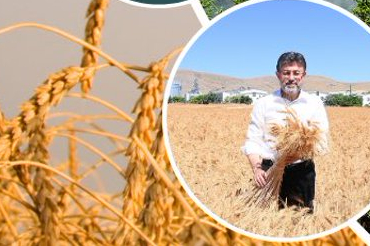 Üretici çiftçiye 11,2 milyar TL'lik destek