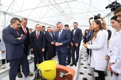 Kocaeli'nde öğrenciler  Ar-Ge serasında çilek yetiştiriyor