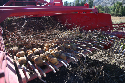 Konya Selçuklu'dan tarımsal üretime katkıya devam